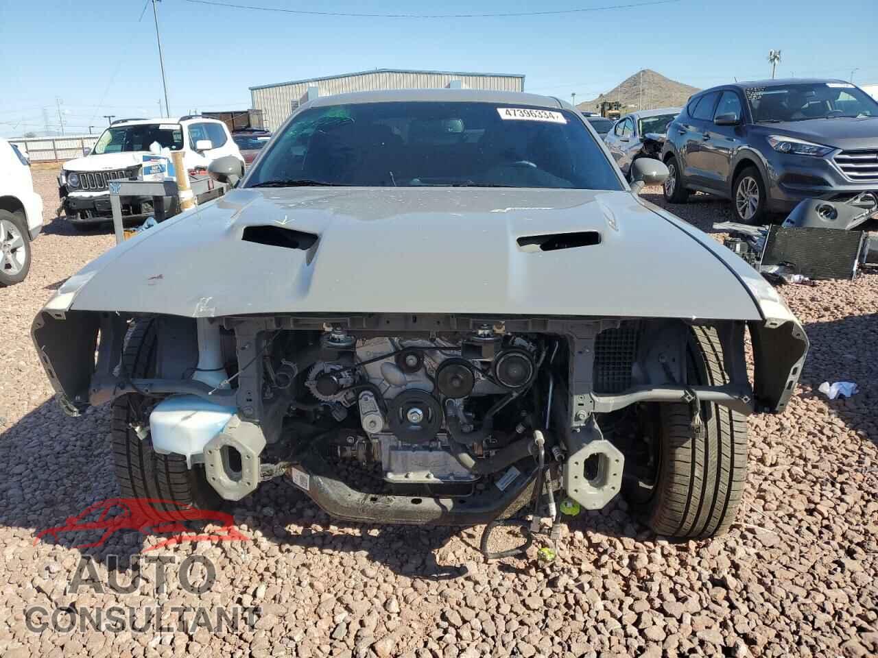 DODGE CHALLENGER 2019 - 2C3CDZAGXKH670143
