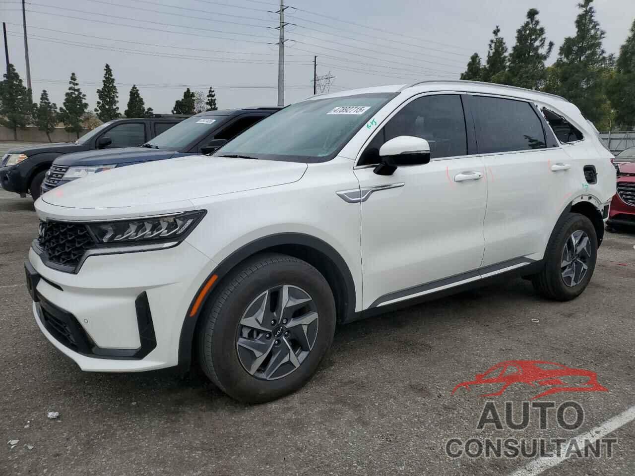 KIA SORENTO 2023 - KNDRH4LG8P5225991