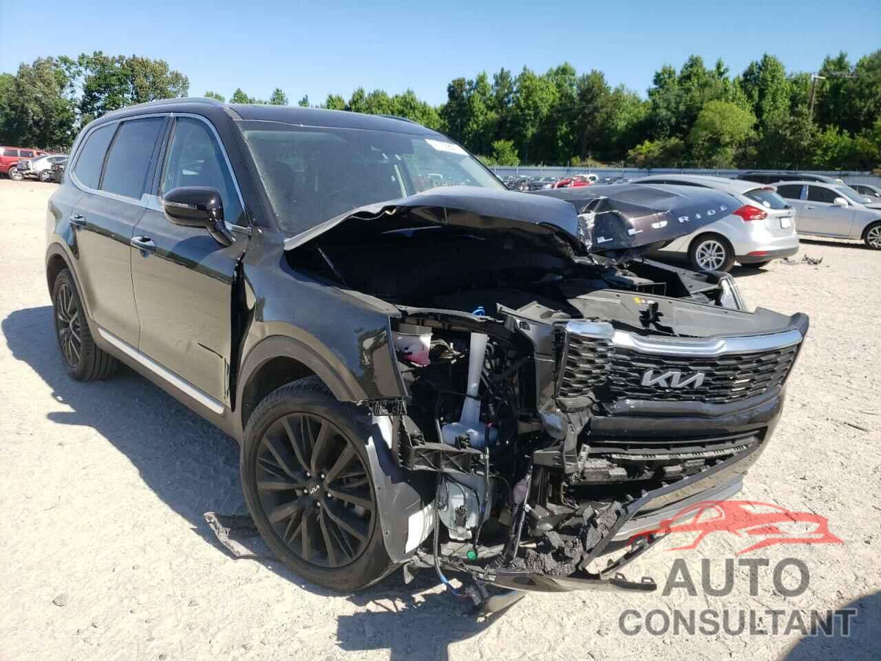 KIA TELLURIDE 2022 - 5XYP54HC2NG194893