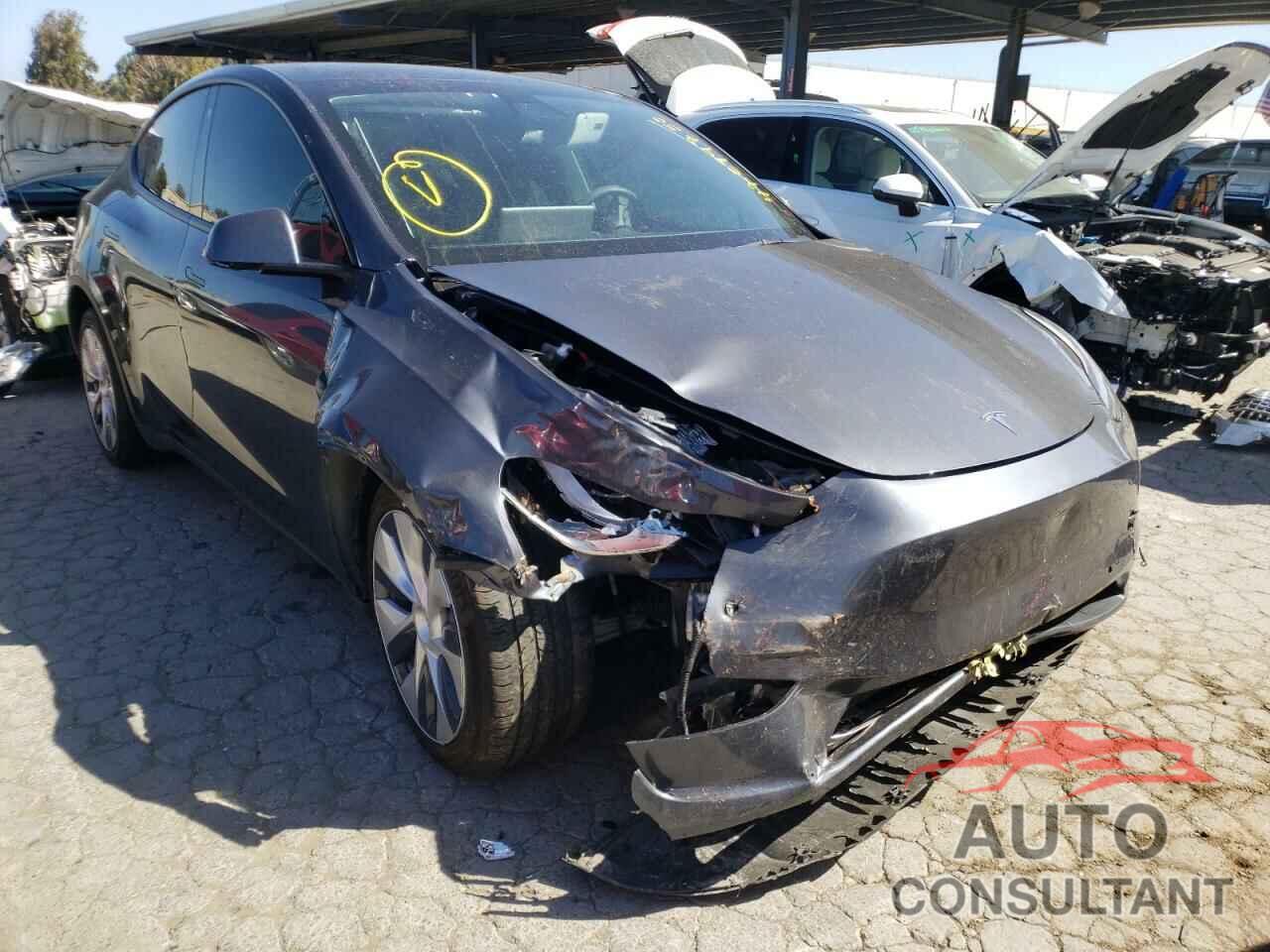 TESLA MODEL Y 2021 - 5YJYGDEE5MF086116