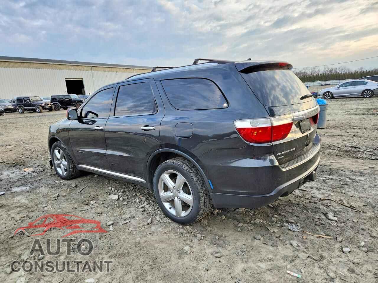 DODGE DURANGO 2013 - 1C4RDJEG3DC559537