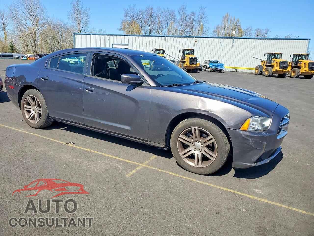 DODGE CHARGER 2013 - 2C3CDXAG1DH617824