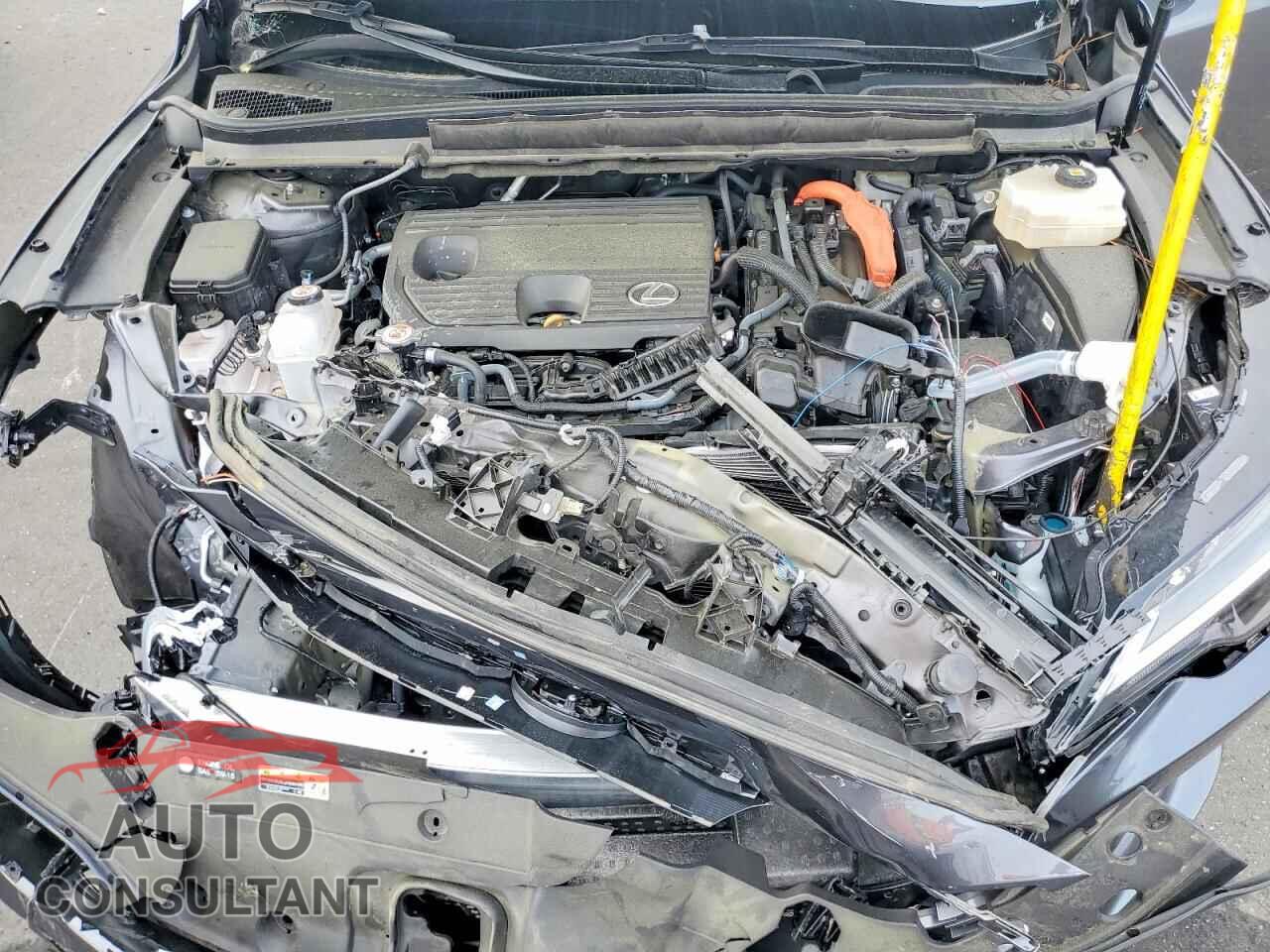 LEXUS UNKNOWN 2024 - 2T2BBMCA3RC053921