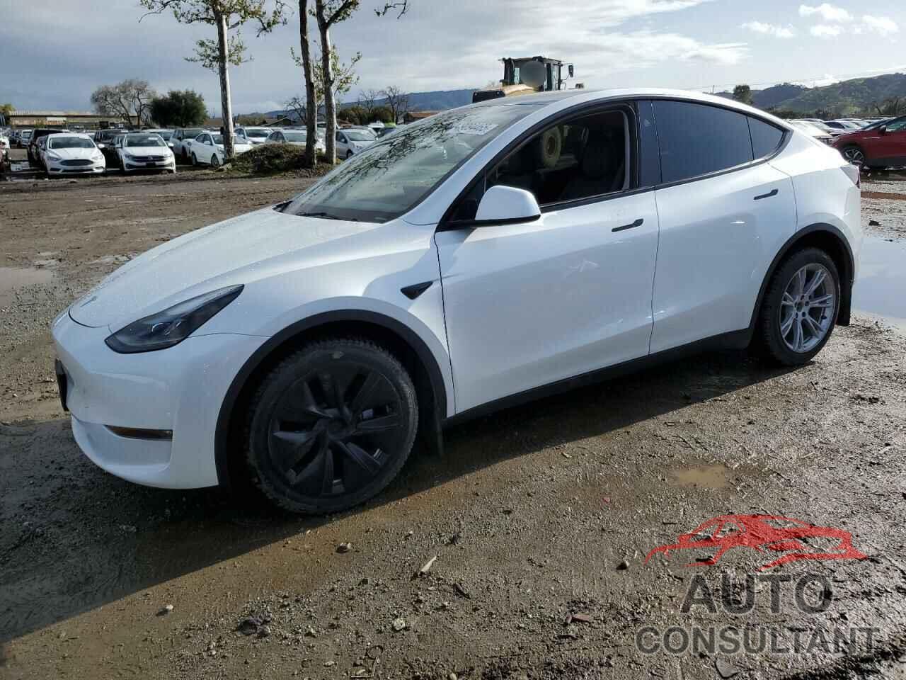 TESLA MODEL Y 2023 - 7SAYGDEEXPF844622