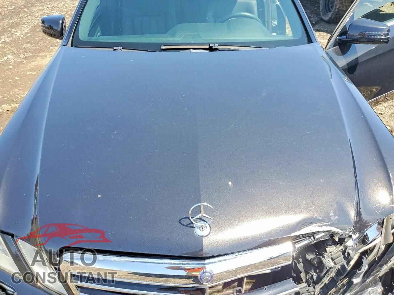 MERCEDES-BENZ E-CLASS 2011 - WDDHF8HB4BA389900