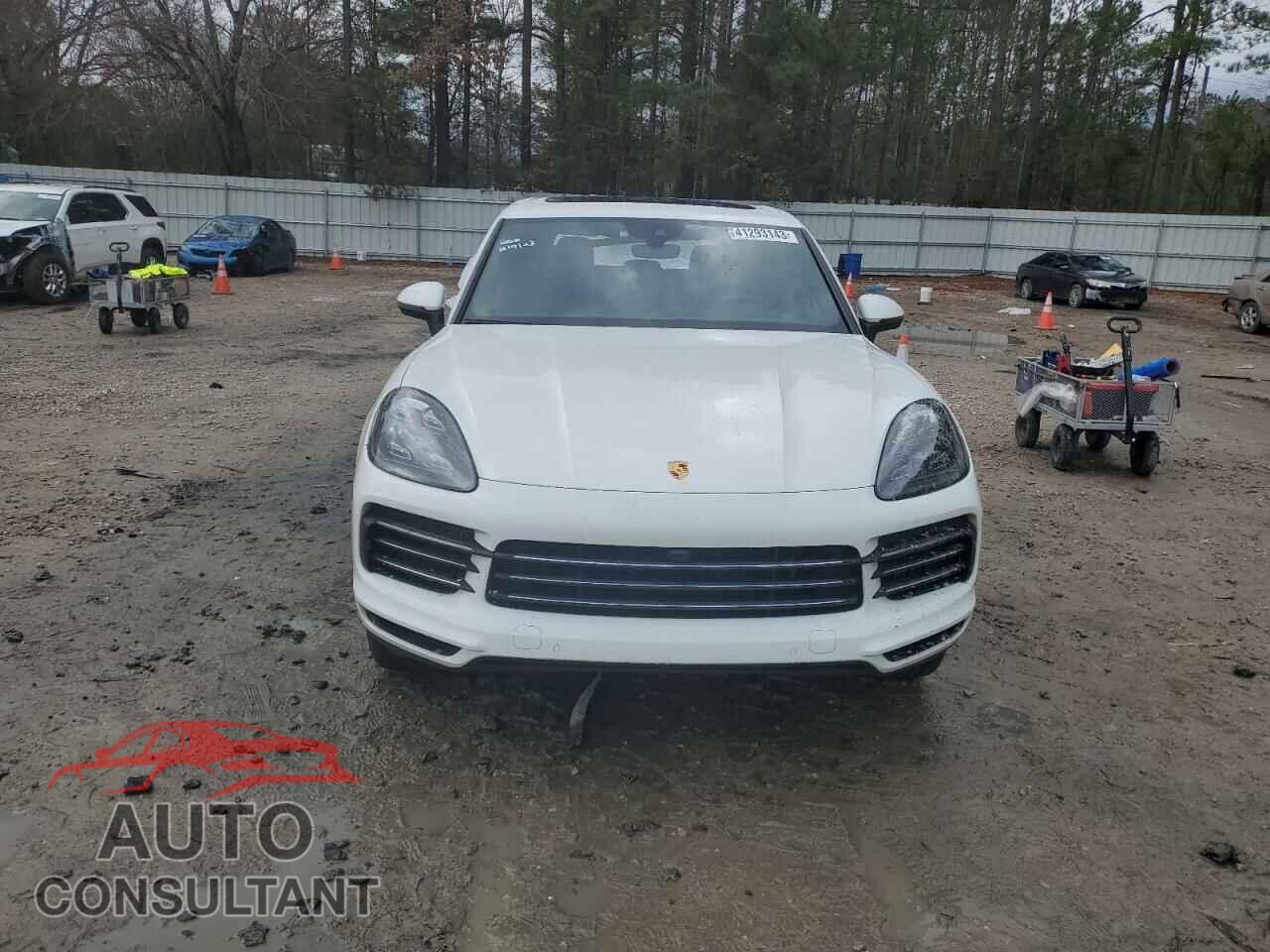 PORSCHE CAYENNE 2019 - WP1AA2AY7KDA06065