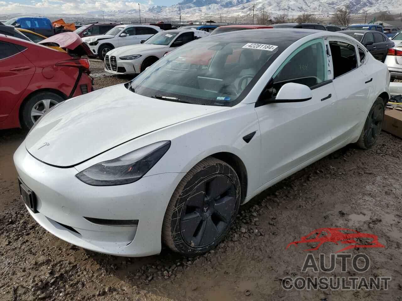 TESLA MODEL 3 2022 - 5YJ3E1EB0NF317204