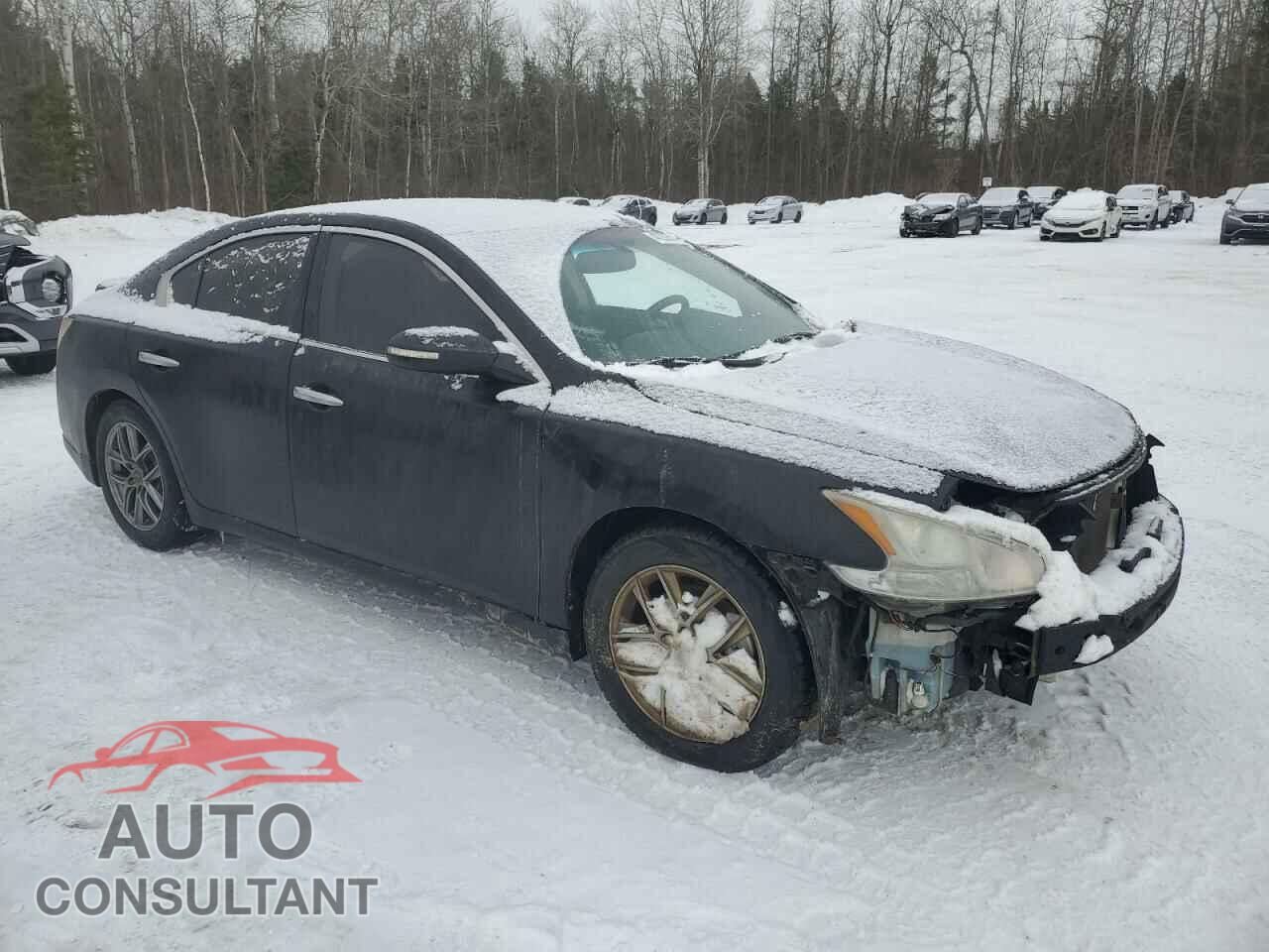 NISSAN MAXIMA 2012 - 1N4AA5AP1CC818064