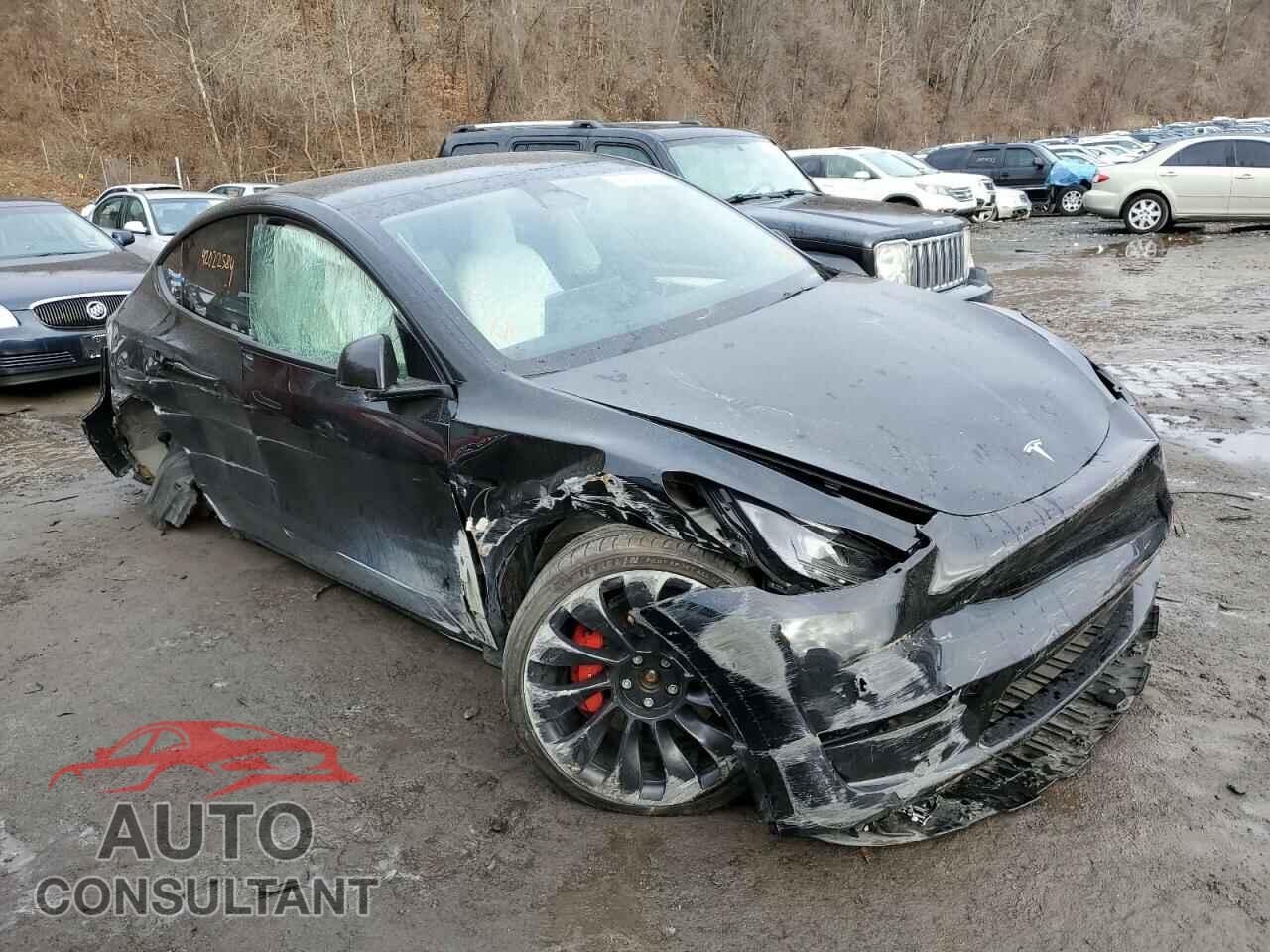 TESLA MODEL Y 2023 - 7SAYGDEF6PF615122