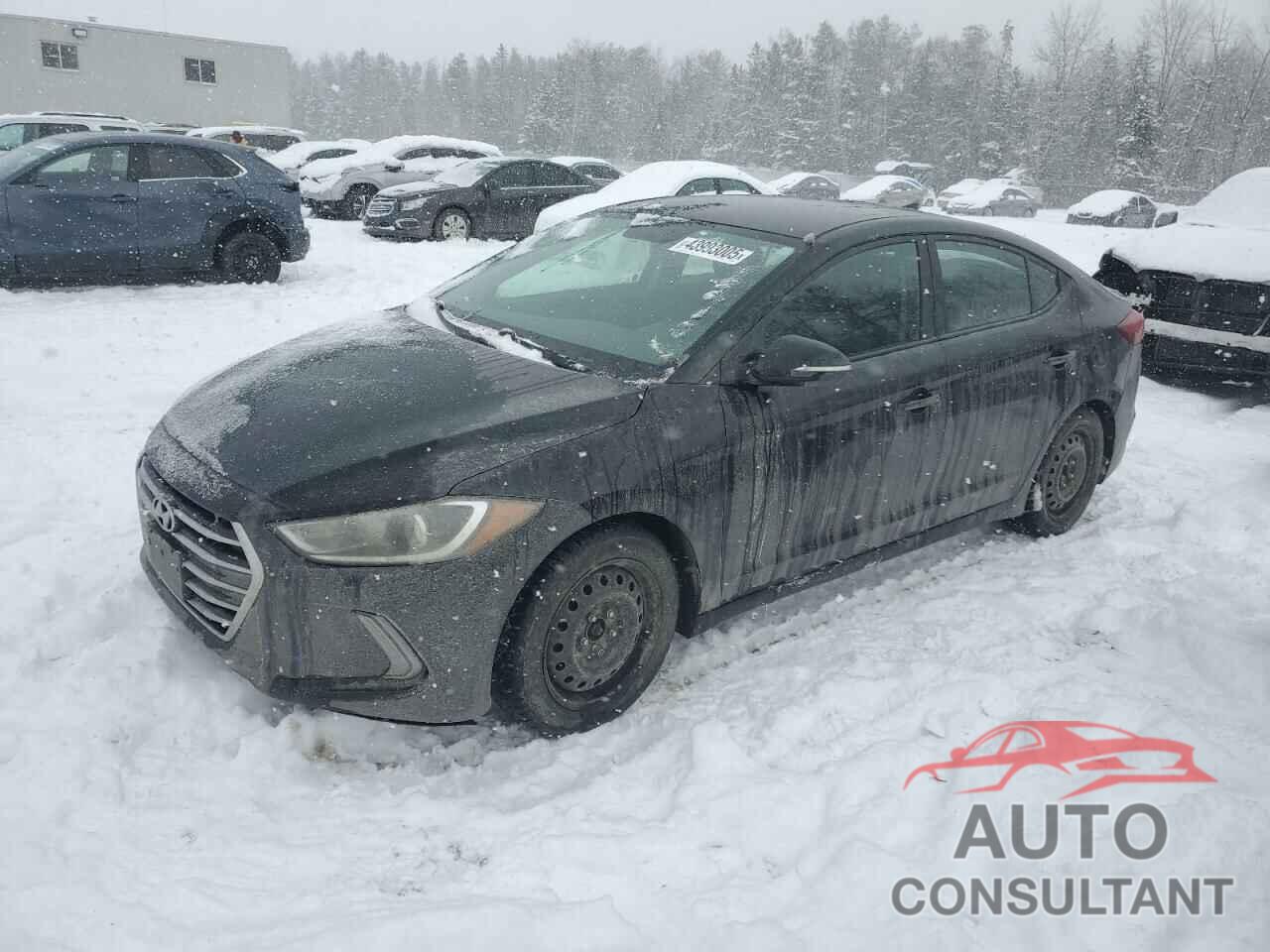 HYUNDAI ELANTRA 2017 - KMHD84LF7HU155307