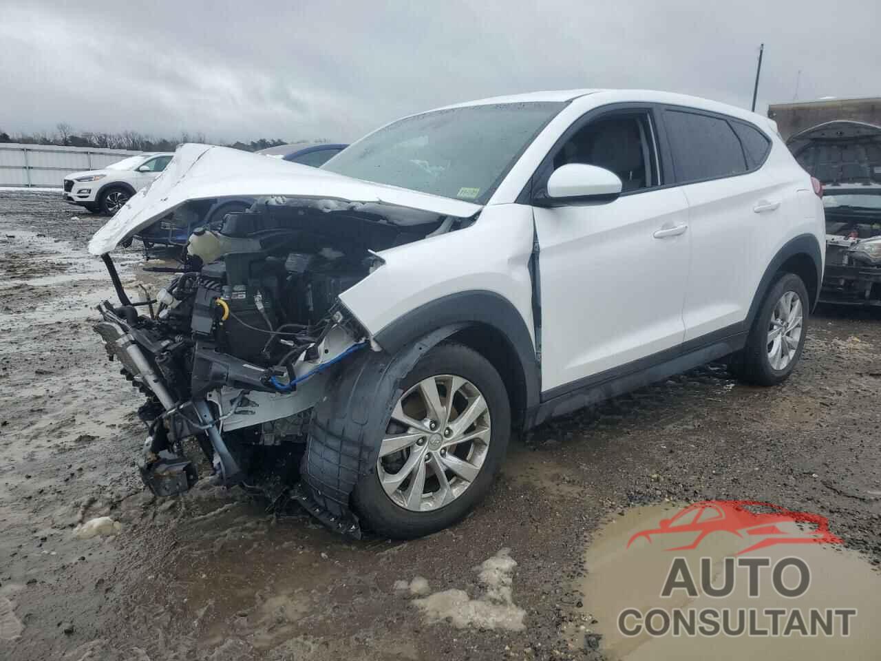 HYUNDAI TUCSON 2019 - KM8J23A48KU888649