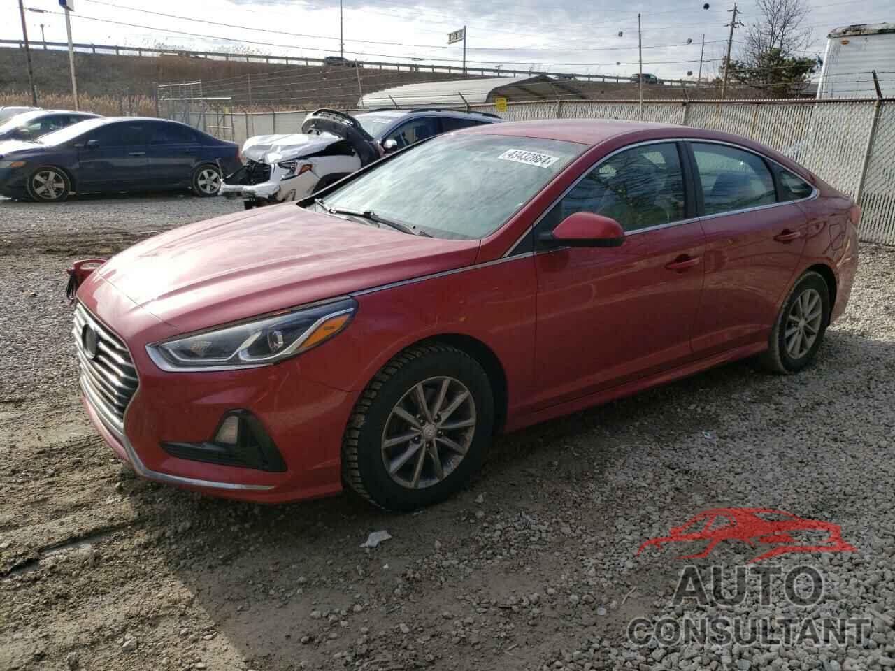 HYUNDAI SONATA 2018 - 5NPE24AF3JH702070