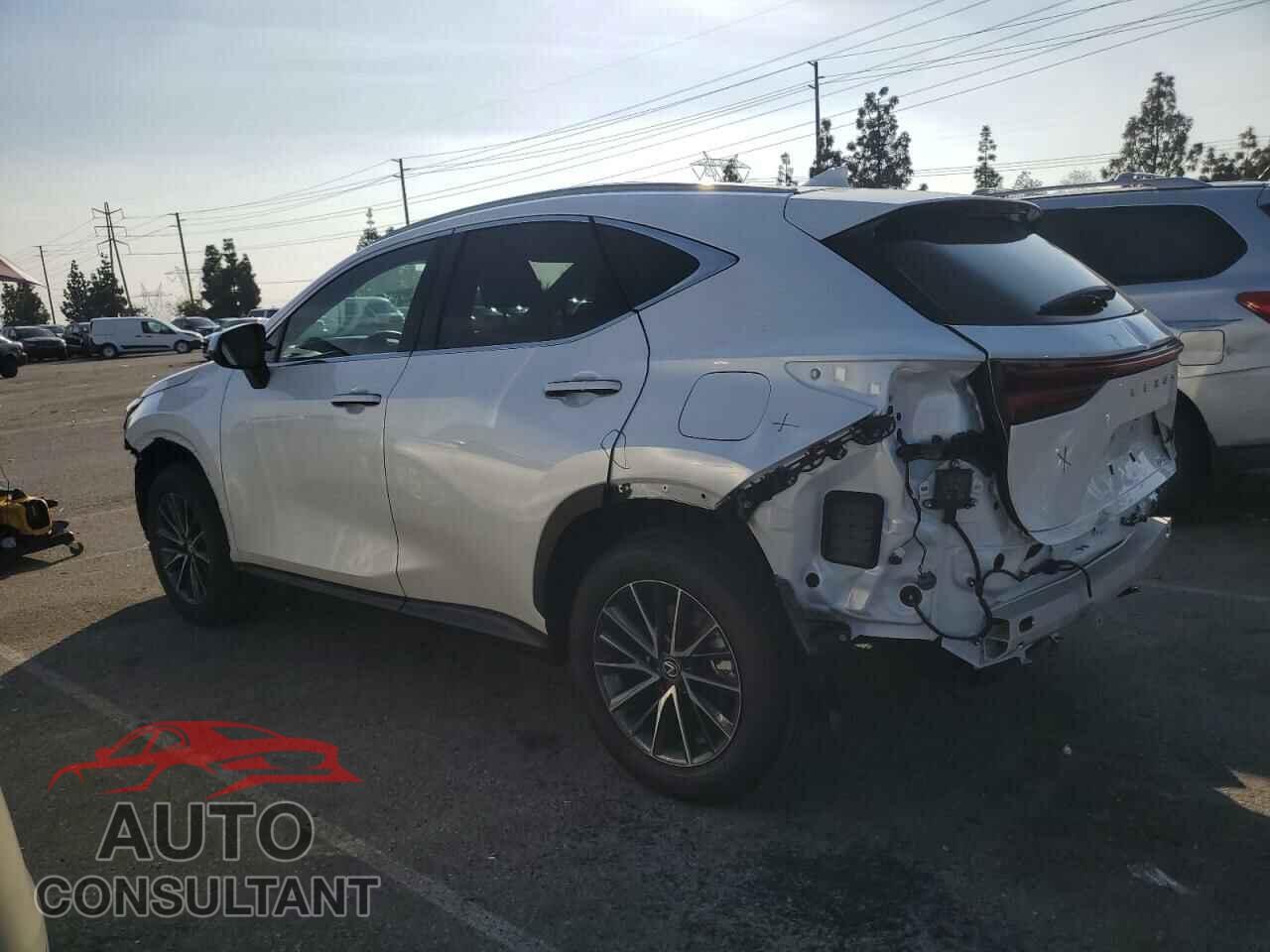 LEXUS NX 250 BAS 2024 - 2T2ADCAZ5RC009895
