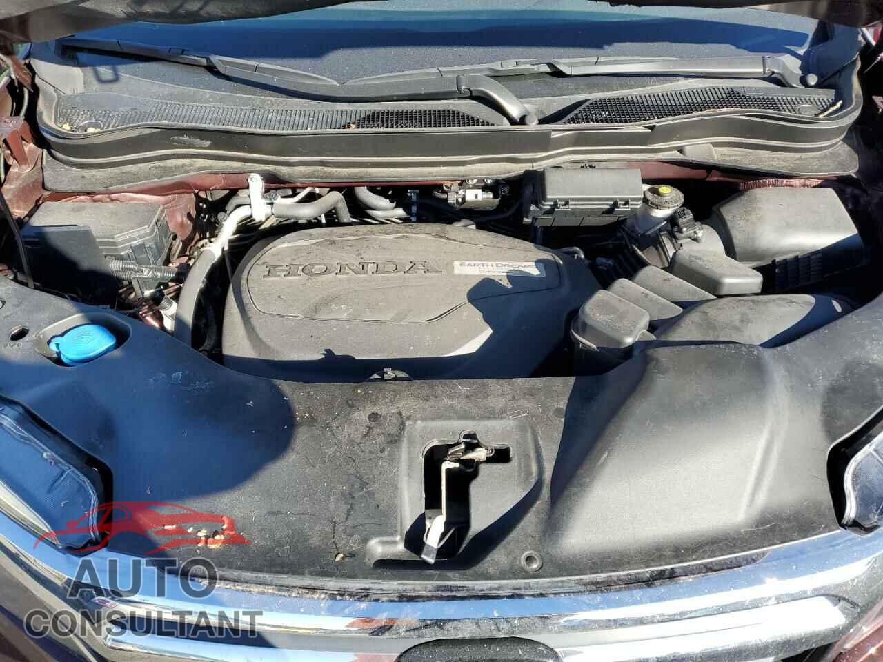HONDA RIDGELINE 2019 - 5FPYK3F76KB016993