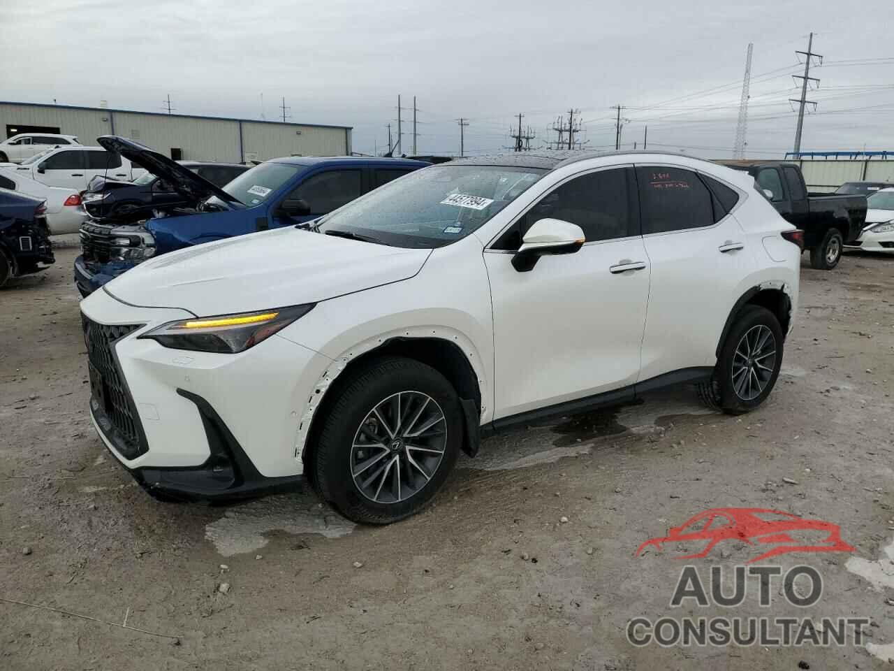 LEXUS NX 350H BA 2024 - JTJHKCEZ8R5009855