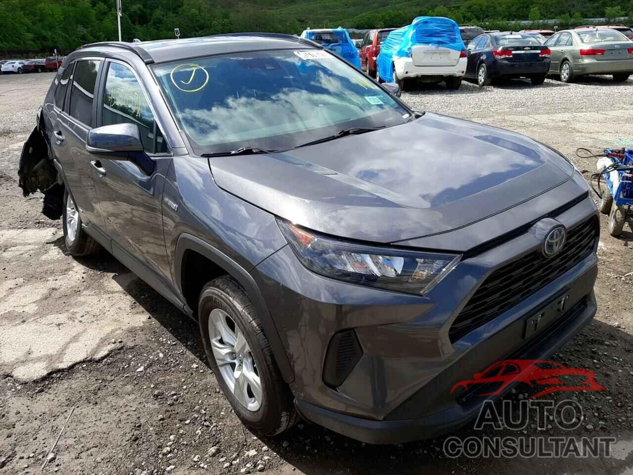 TOYOTA RAV4 2019 - 2T3MWRFV3KW034147