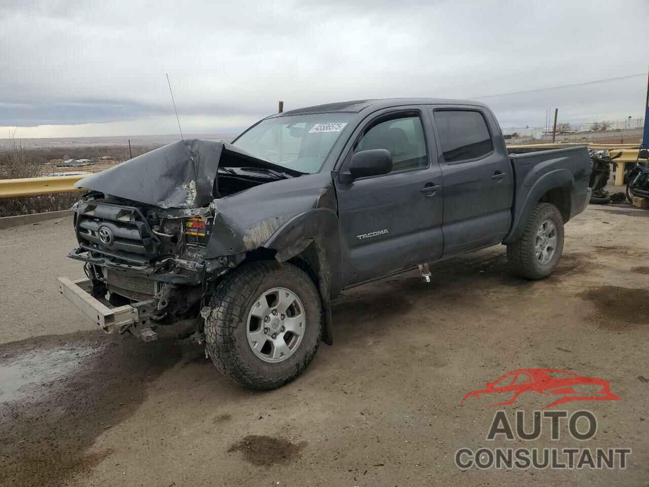 TOYOTA TACOMA 2009 - 5TELU42N59Z670187