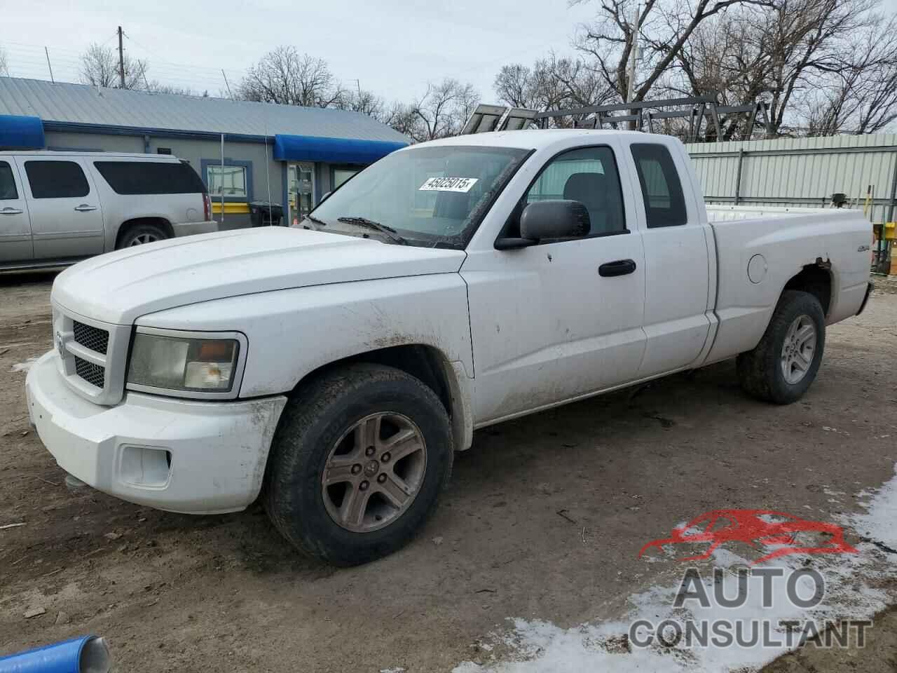 DODGE DAKOTA 2011 - 1D7RW3BK5BS667231