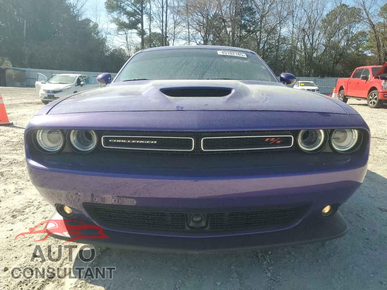 DODGE CHALLENGER 2023 - 2C3CDZBT4PH641496