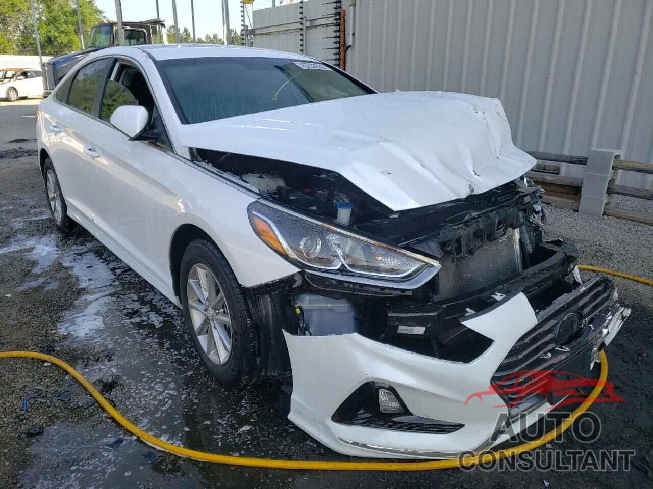 HYUNDAI SONATA 2019 - 5NPE24AF8KH775047