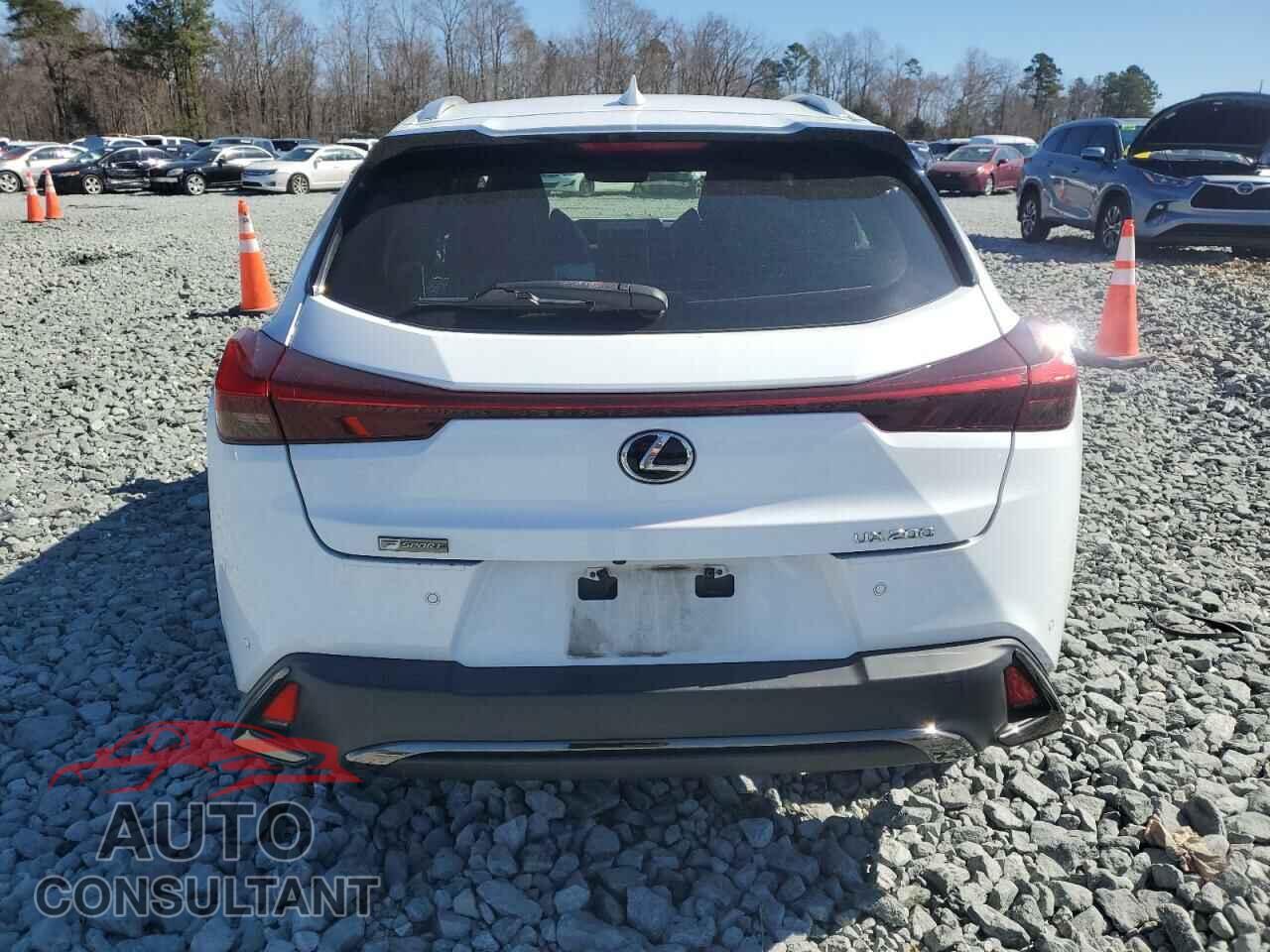 LEXUS UX 200 2019 - JTHY3JBH4K2010023