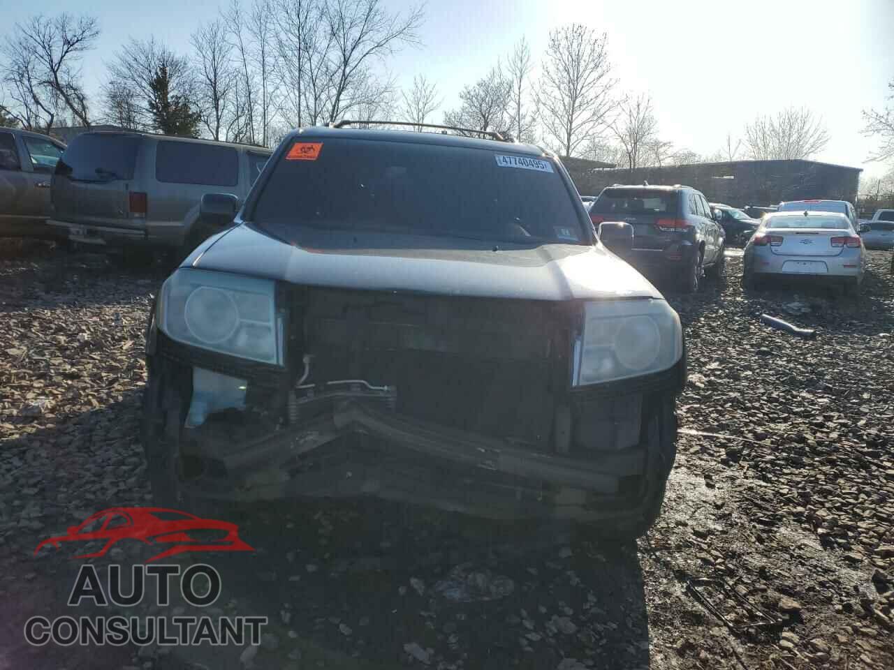 HONDA PILOT 2011 - 5FNYF4H55BB085253