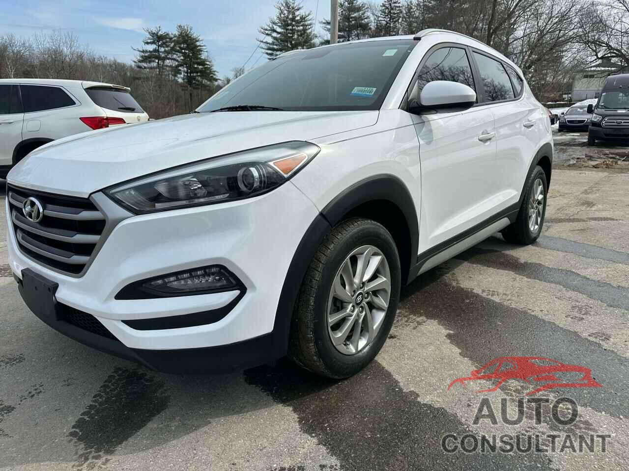 HYUNDAI TUCSON 2017 - KM8J3CA43HU519008