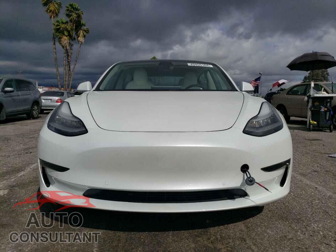 TESLA MODEL 3 2019 - 5YJ3E1EB3KF514413