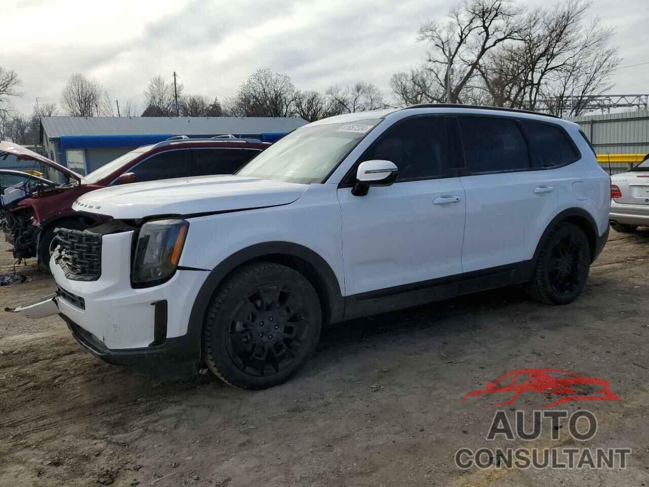 KIA TELLURIDE 2021 - 5XYP5DHCXMG131863