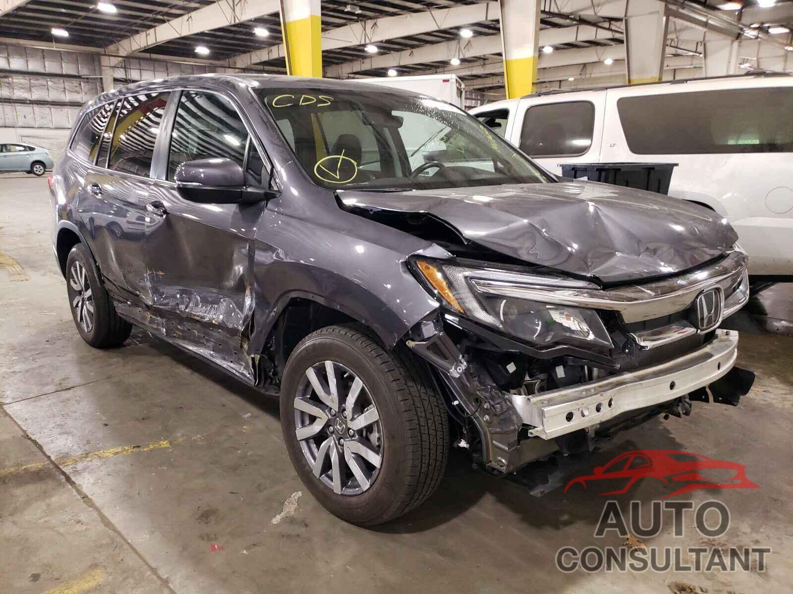 HONDA PILOT 2019 - 5FNYF6H54KB052434