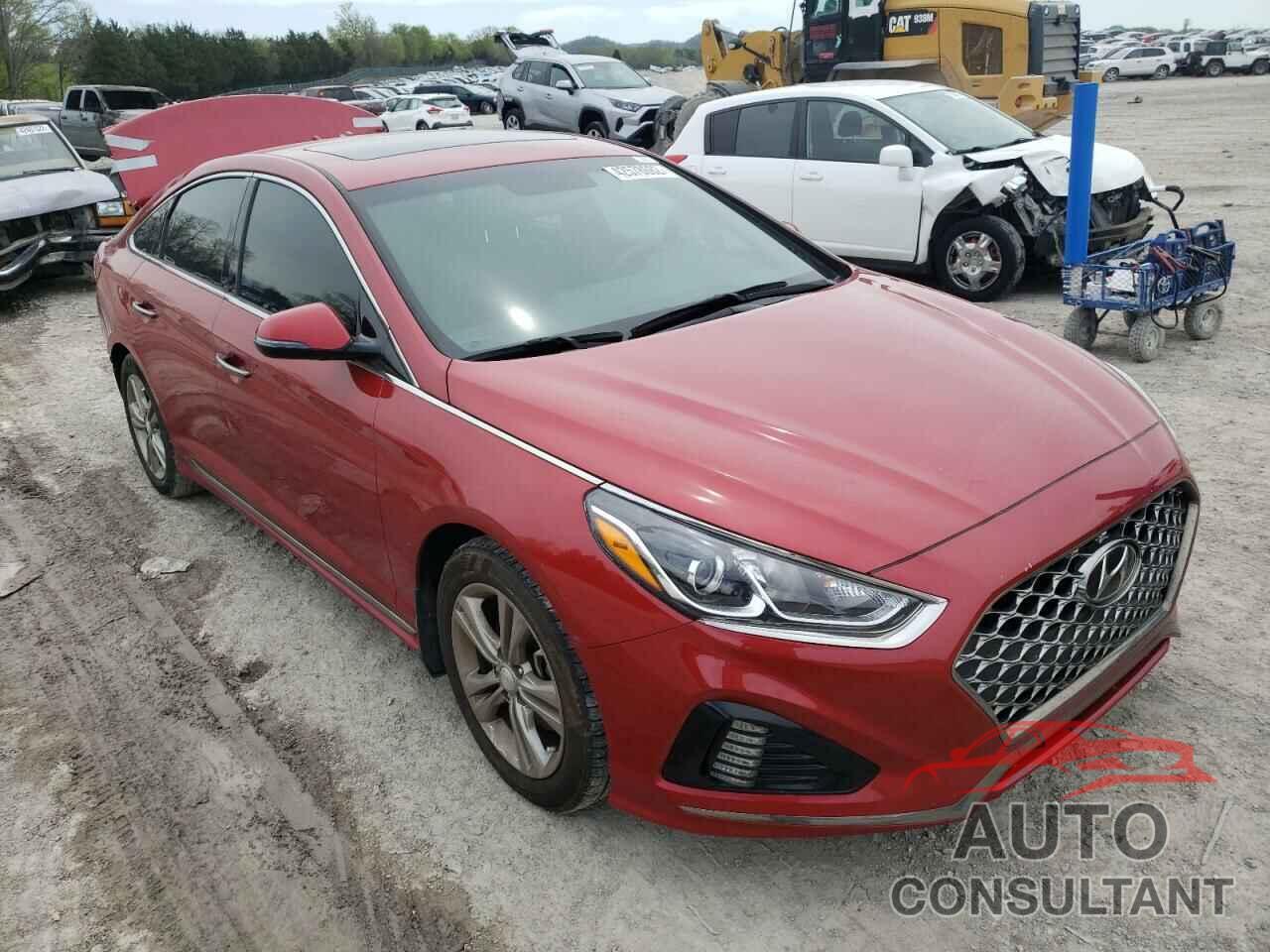 HYUNDAI SONATA 2019 - 5NPE34AFXKH753452