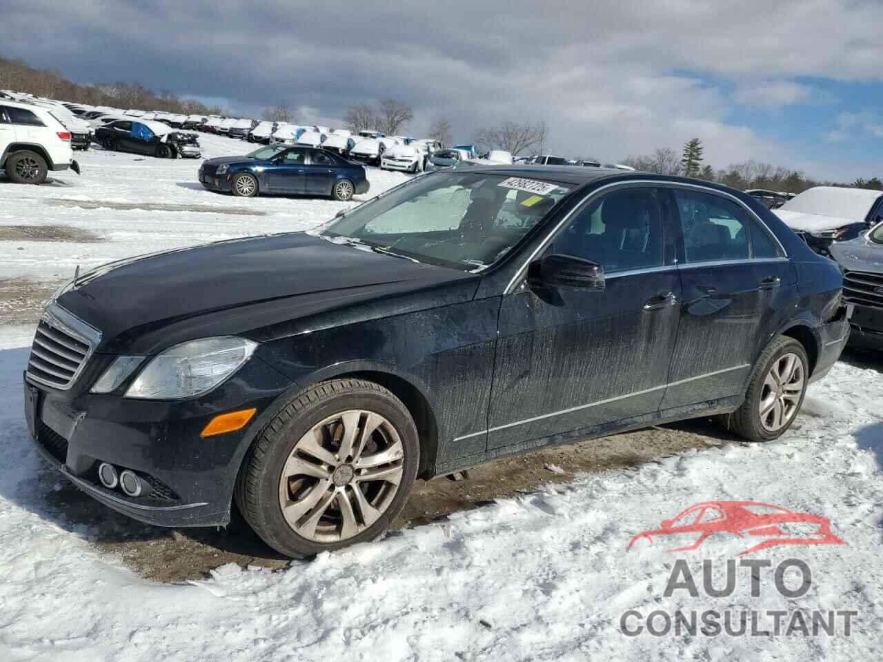 MERCEDES-BENZ E-CLASS 2010 - WDDHF8HB2AA138050