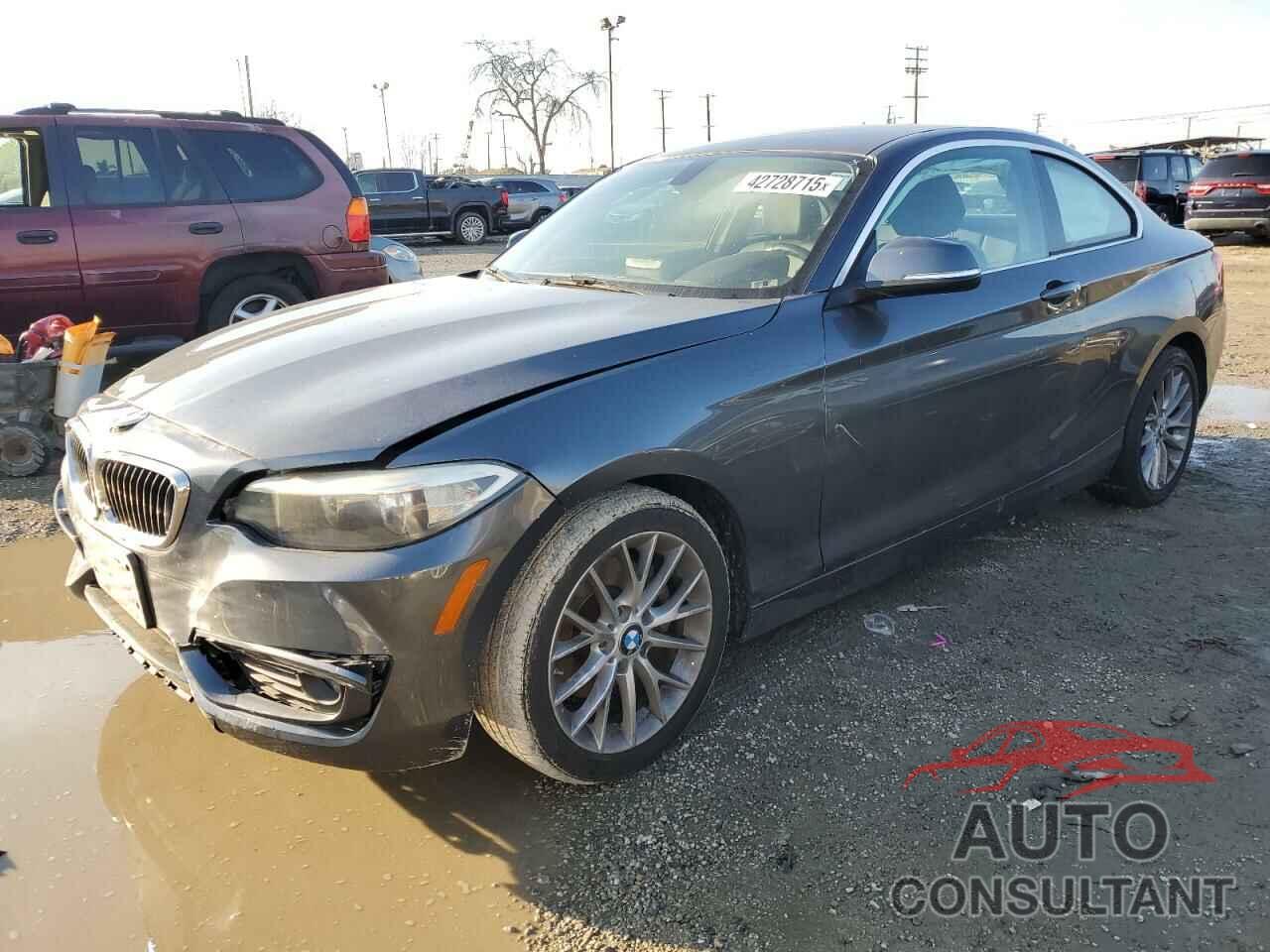 BMW 2 SERIES 2014 - WBA1F5C5XEV256256