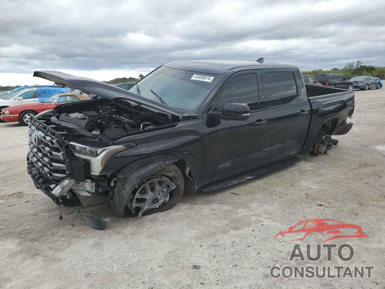 TOYOTA TUNDRA 2023 - 5TFNA5DB7PX081656