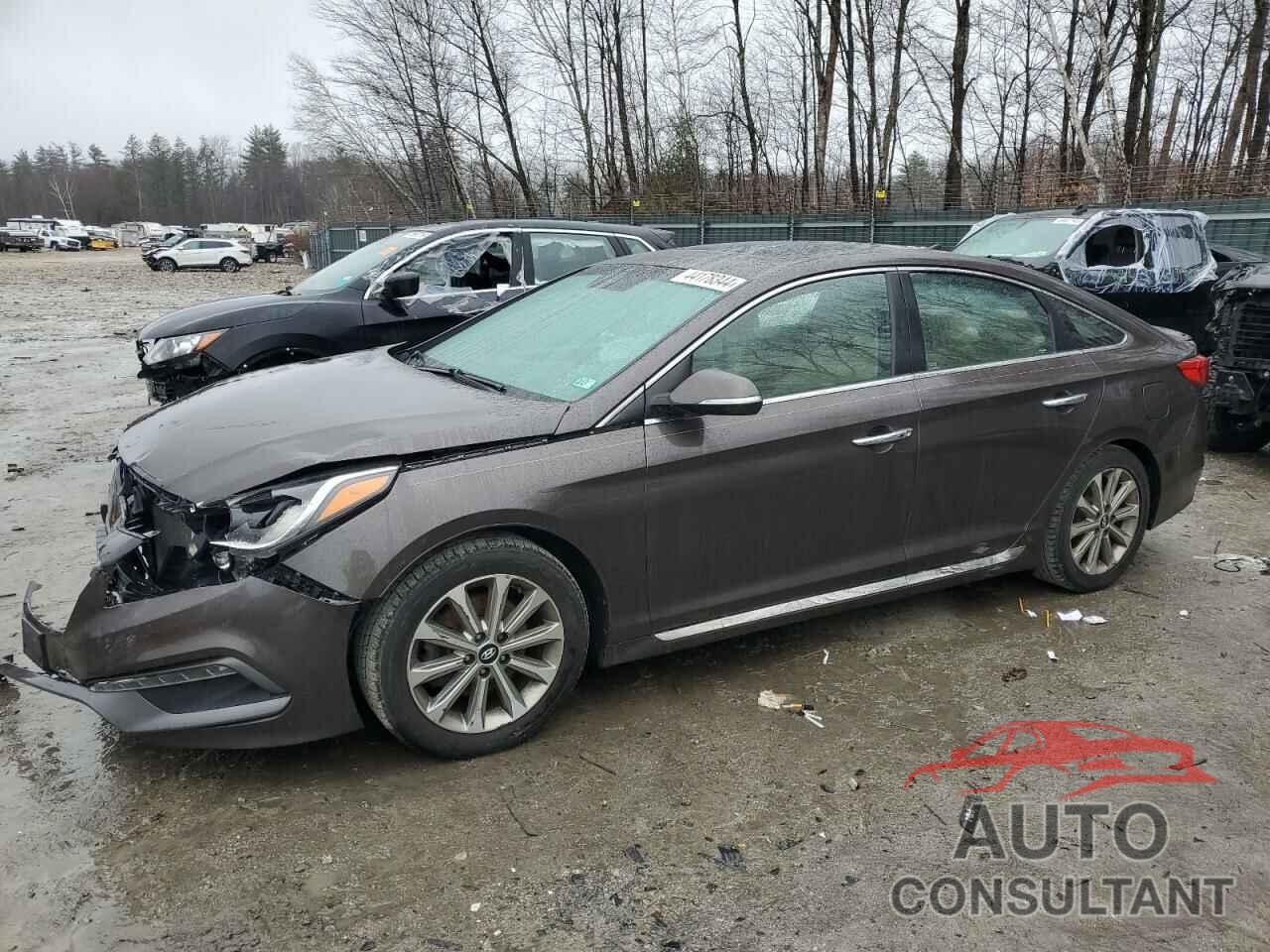 HYUNDAI SONATA 2017 - 5NPE34AF7HH479765