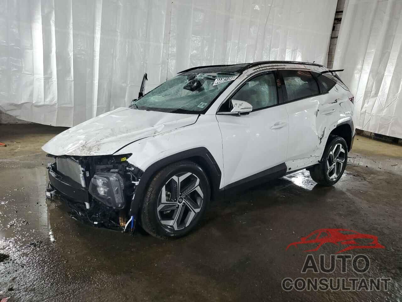 HYUNDAI TUCSON 2024 - 5NMJECDE0RH330201