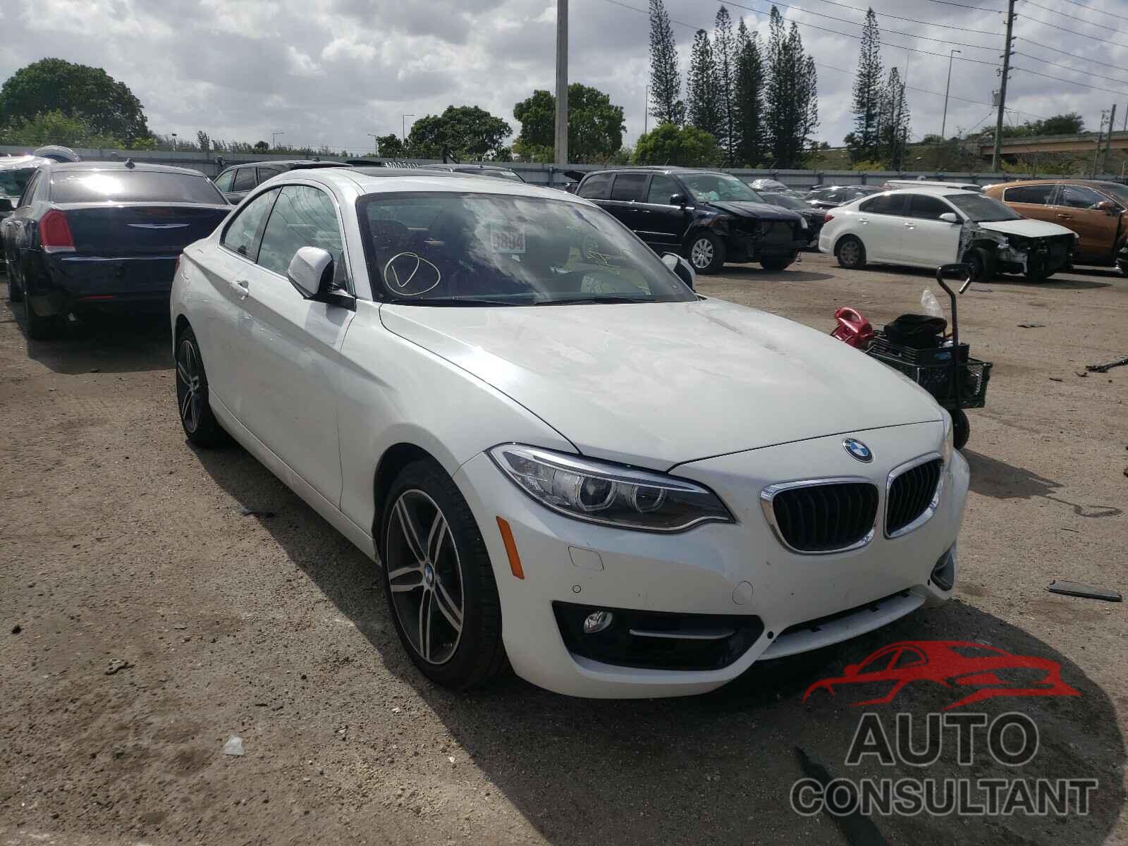 BMW 2 SERIES 2017 - WBA2F9C53HV664551