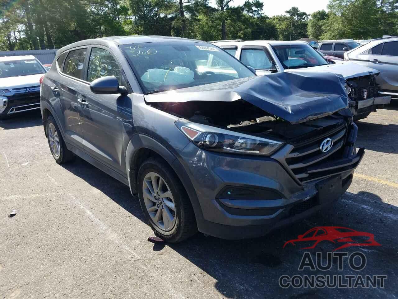 HYUNDAI TUCSON 2016 - KM8J23A46GU182755