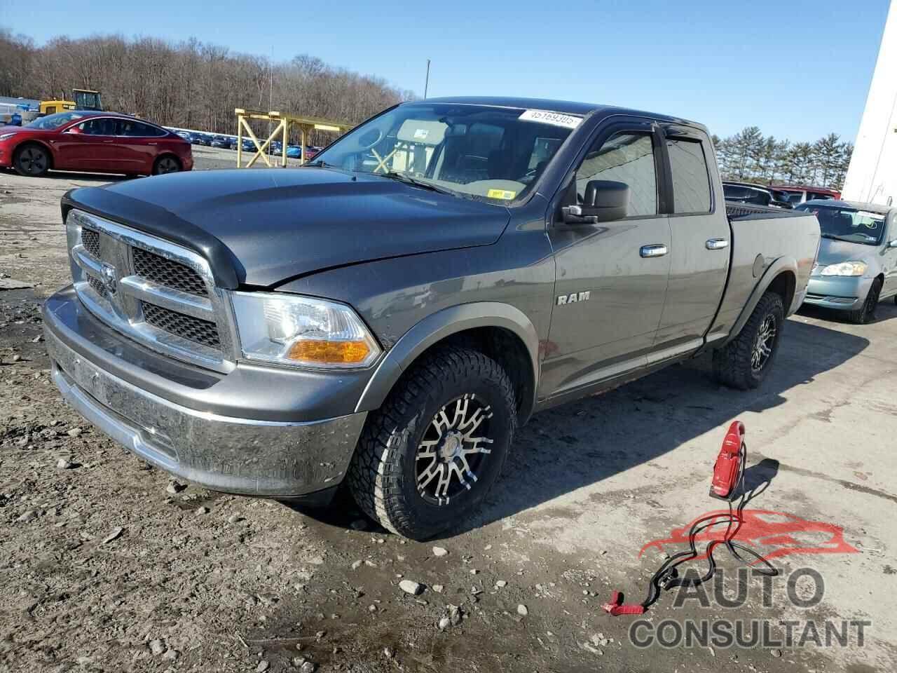 DODGE All Models 2010 - 1D7RV1GP0AS112889