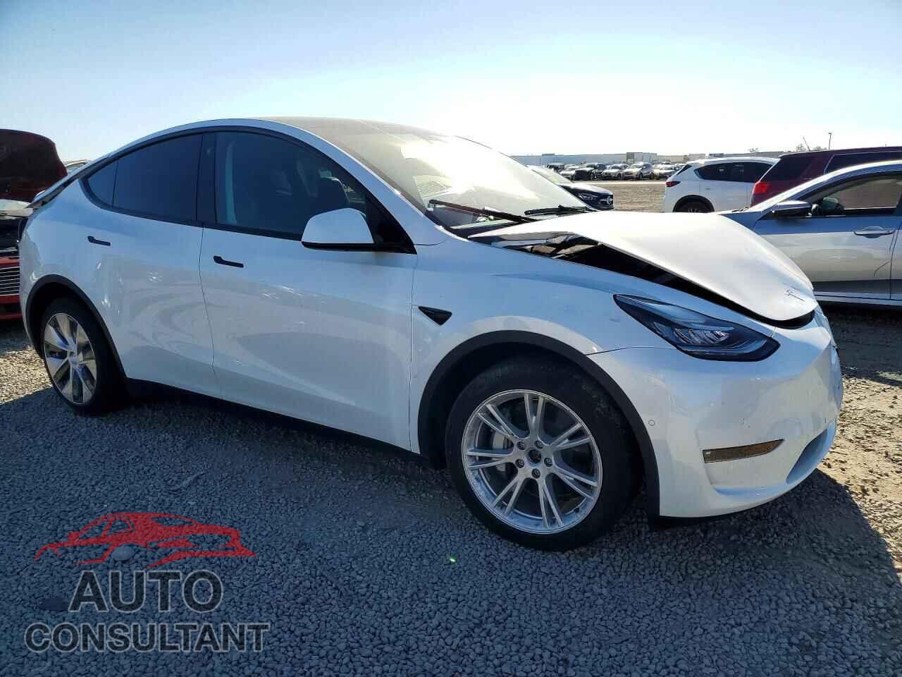TESLA MODEL Y 2022 - 7SAYGDEE8NF435497