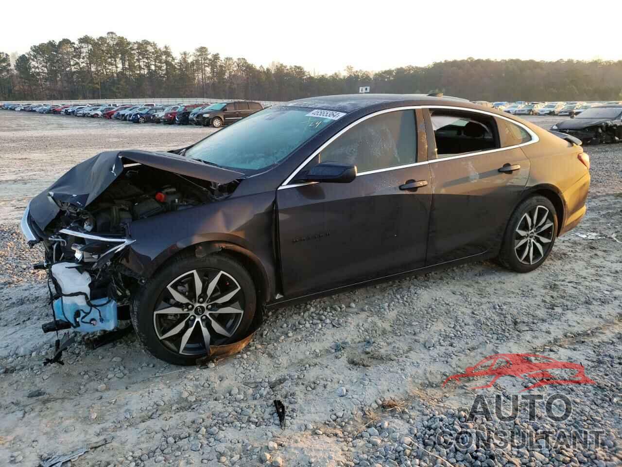 CHEVROLET MALIBU 2023 - 1G1ZG5ST1PF141831