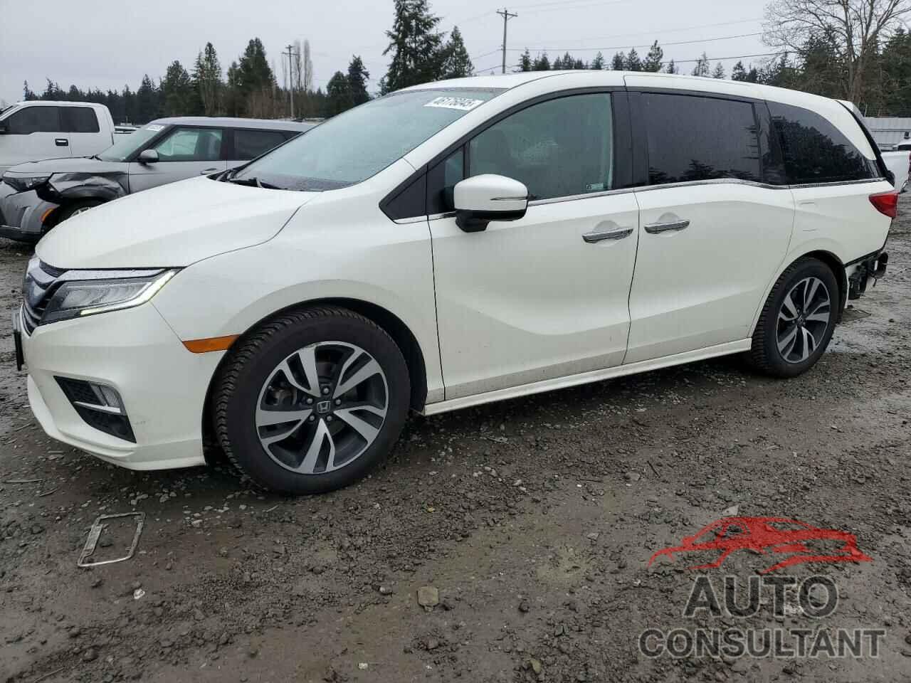 HONDA ODYSSEY 2019 - 5FNRL6H99KB022216