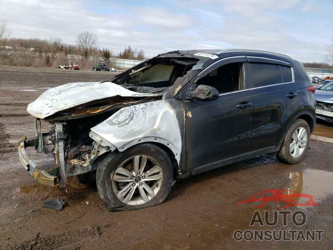 KIA SPORTAGE 2019 - KNDPMCAC9K7566956