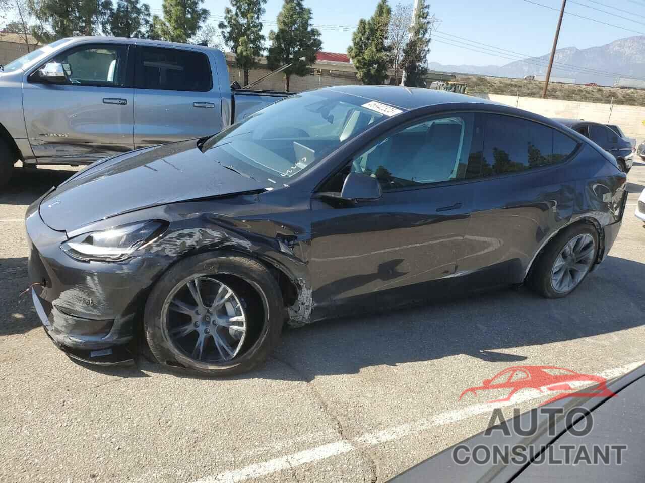 TESLA MODEL Y 2025 - 7SAYGDEE9SF302274