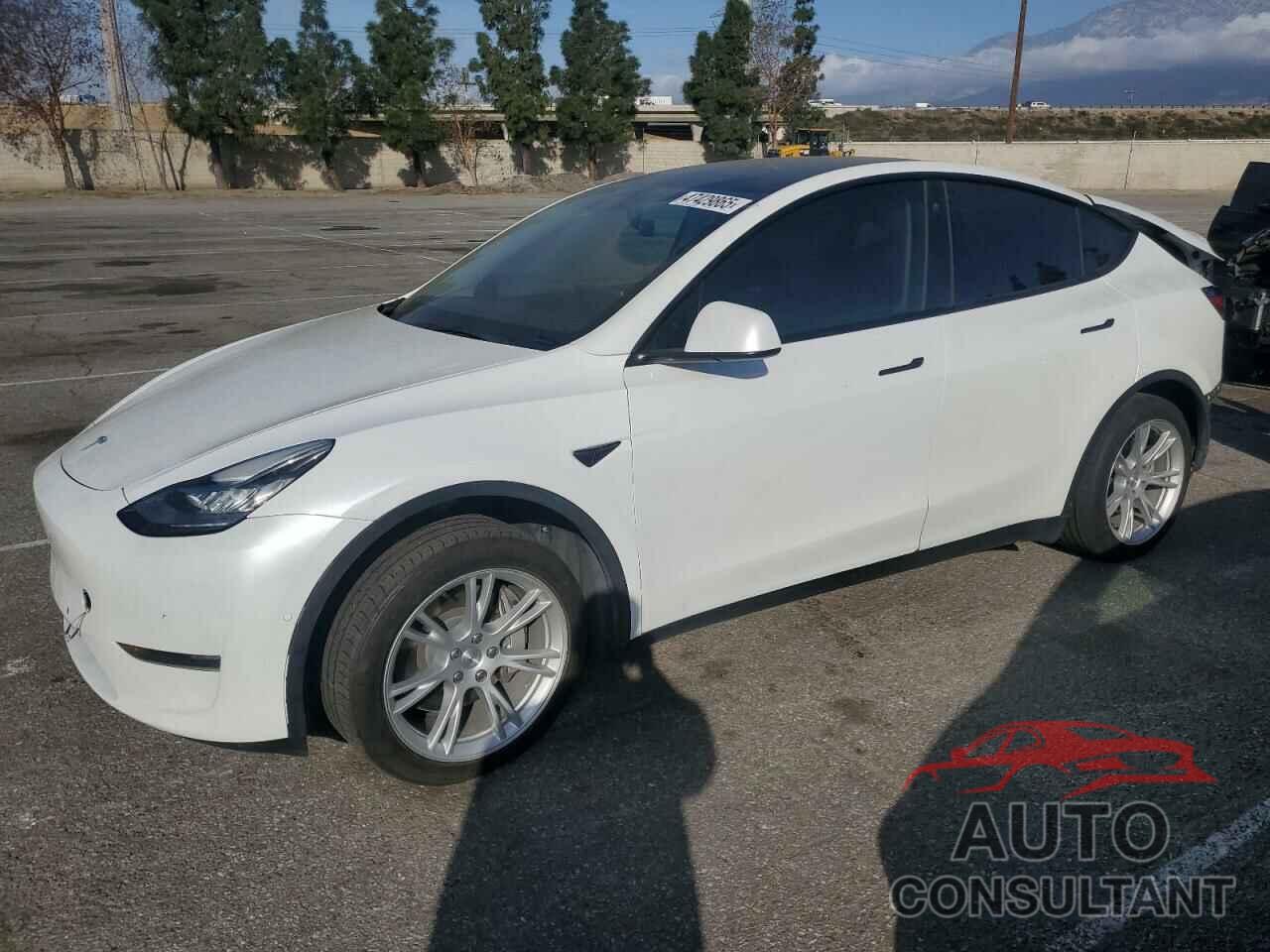 TESLA MODEL Y 2021 - 5YJYGDEE4MF204219