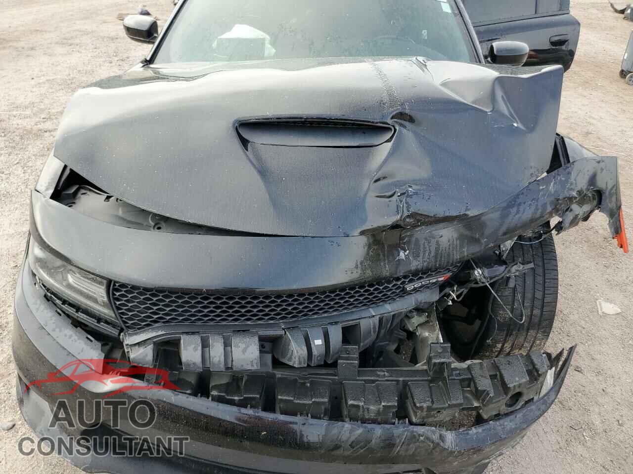 DODGE CHARGER 2019 - 2C3CDXCT5KH742915