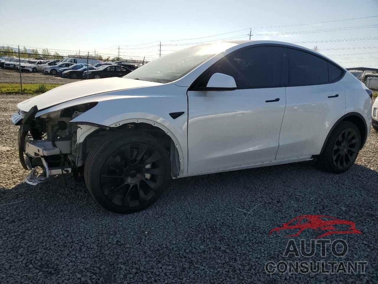 TESLA MODEL Y 2023 - 7SAYGDEE5PF751944