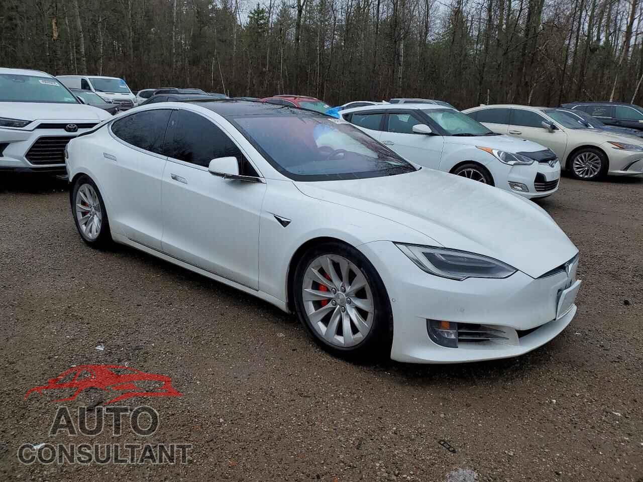 TESLA MODEL S 2019 - 5YJSA1E49KF334975