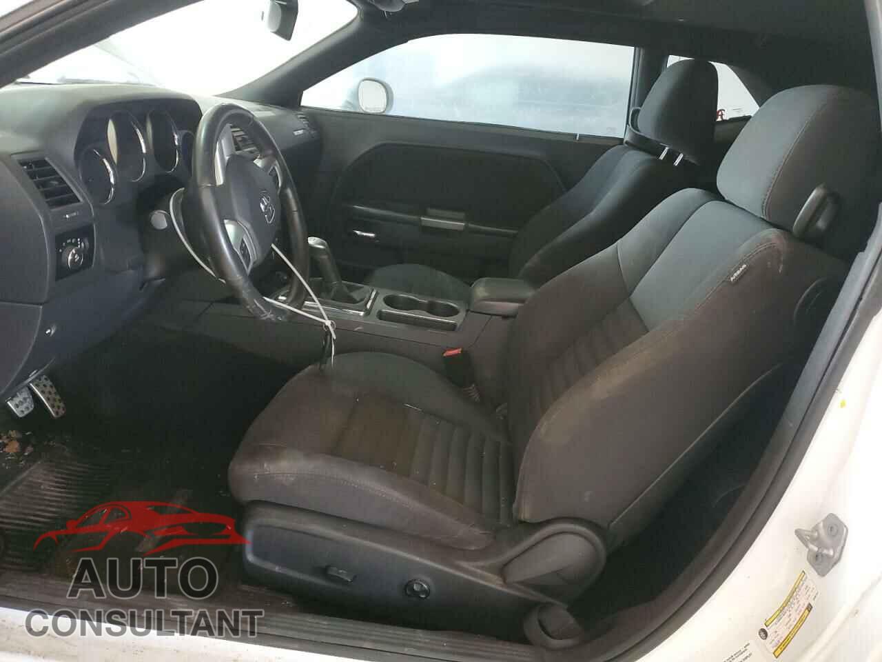 DODGE CHALLENGER 2013 - 2C3CDYBT3DH667917