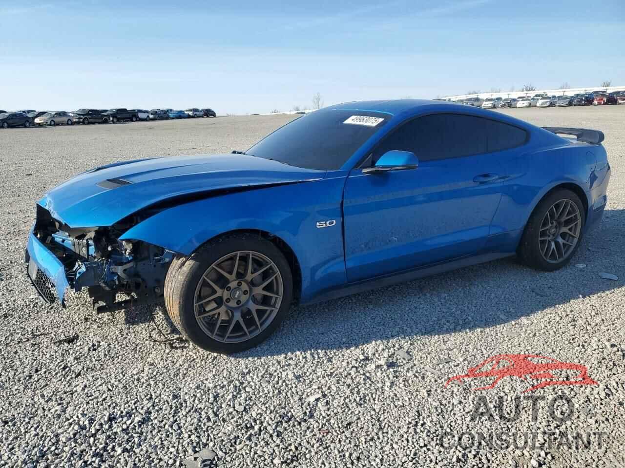 FORD MUSTANG 2019 - 1FA6P8CF8K5138272